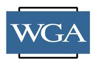 WGA Is A Waste Of Money… Or Is It?